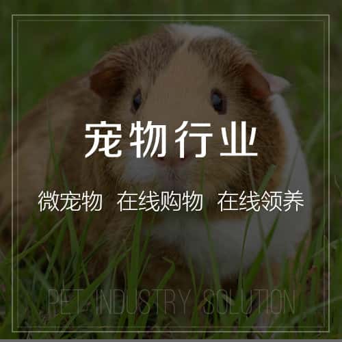 襄樊宠物