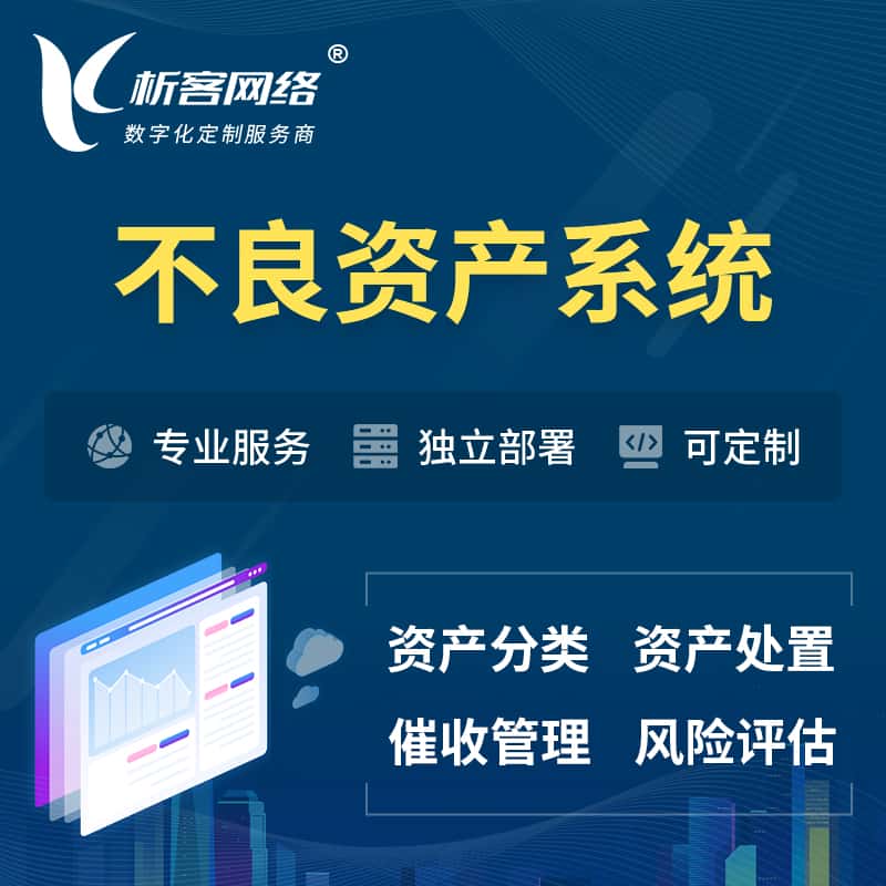 襄樊不良资产管理系统